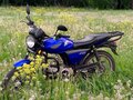 2022 Racer RC110N, синий, 59000 рублей