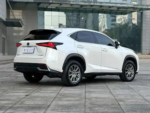 2021 Lexus NX 200 I Рестайлинг, белый, 3168002 рублей - вид 5