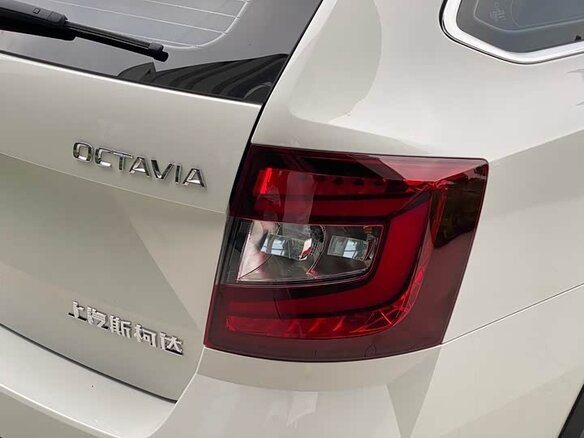 2019 Skoda Octavia III (A7) Рестайлинг, белый - вид 13