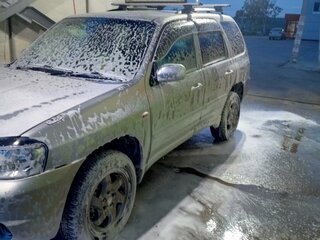 2001 Mazda Tribute I, серый, 500000 рублей, вид 5
