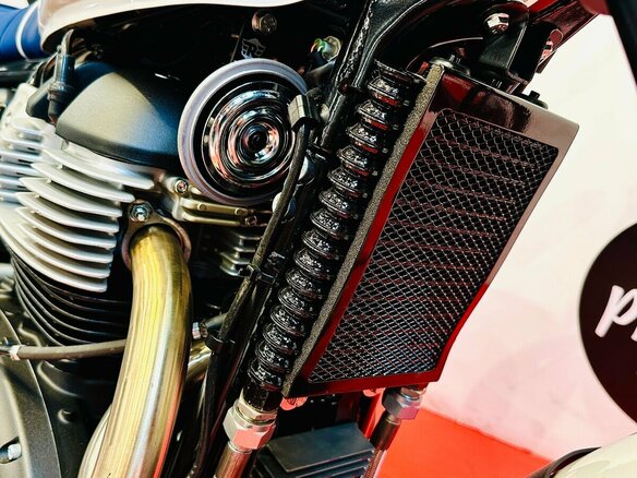 2026 Royal Enfield Bear 650, белый, 728000 рублей - вид 17