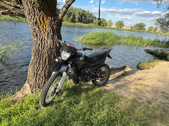 2023 Racer Panther, чёрный, 90000 рублей - вид 1