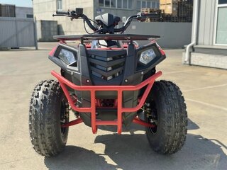 2026 Другие Мотовездеходы (другие), чёрный, 175000 рублей, вид 3
