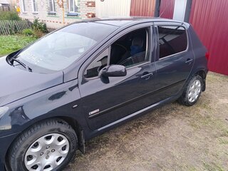 2006 Peugeot 307 I Рестайлинг, серый, 150000 рублей, вид 4