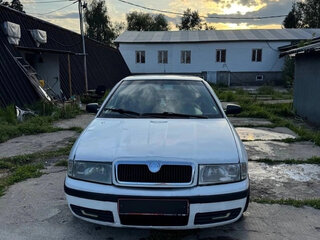 2008 Skoda Octavia I (A4) Рестайлинг, белый, 230000 рублей, вид 1