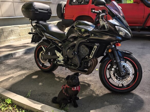 2007 Yamaha FZ6, чёрный, 390000 рублей