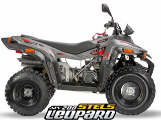2026 Stels ATV-200 Леопард, серый, 250000 рублей, вид 2