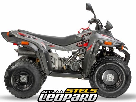 2026 Stels ATV-200 Леопард, серый, 305000 рублей, вид 2