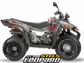2026 Stels ATV-200 Леопард, серый, 250000 рублей - вид 1
