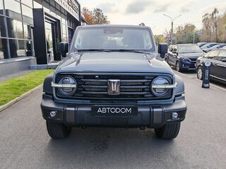 2023 Tank 300 I, серый, 3238000 рублей, вид 2