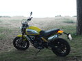2018 Ducati Scrambler 1100, жёлтый, 899000 рублей - вид 2
