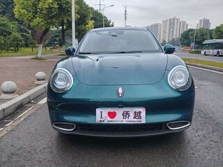 2024 Ora Good Cat 47.8 kWh I, зелёный, 1600000 рублей, вид 2