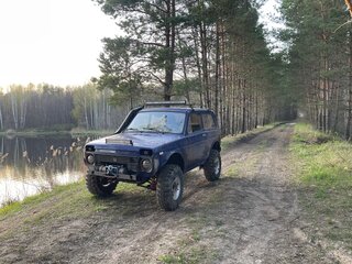 1985 Lada (ВАЗ) 2121 (4x4) I, синий, 260000 рублей, вид 1