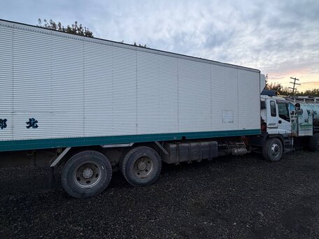 1989 Isuzu Giga (C-series), серый, 1500000 рублей, вид 5