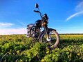 2019 Мотоальфа A1, чёрный, 55000 рублей