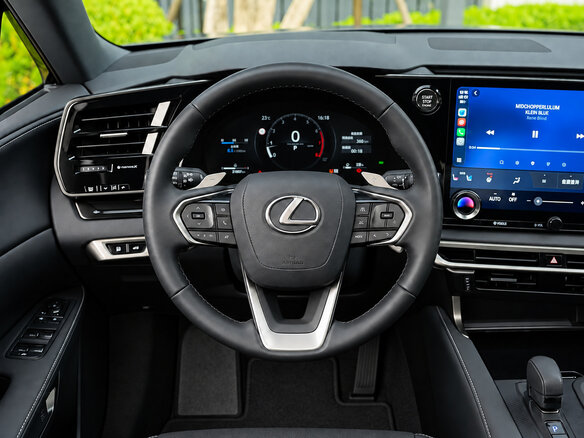 2025 Lexus RX 300 V, чёрный - вид 11
