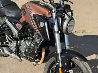 2025 Racer Caiman, коричневый, 160000 рублей, вид 5