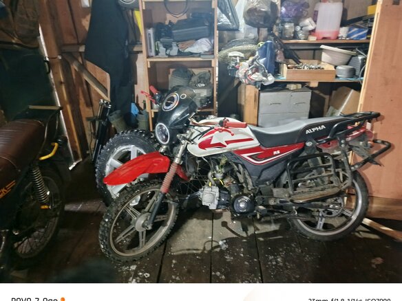 2023 Alfer VR 250, красный, 35000 рублей
