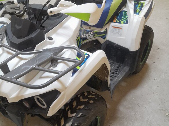 2022 Promax ATV 300, белый, 250000 рублей - вид 3