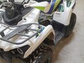 2022 Promax ATV 300, белый, 250000 рублей - вид 3
