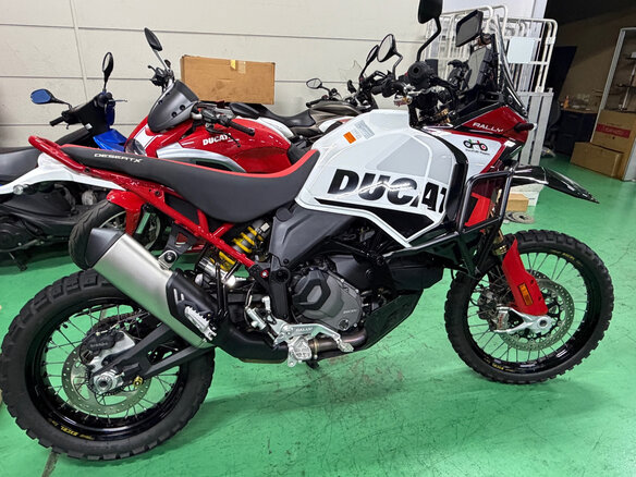 2025 Ducati DesertX, белый - вид 9