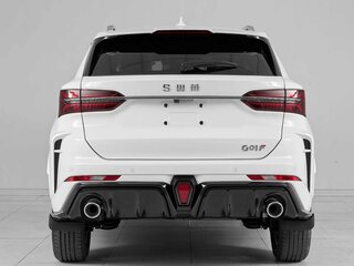2024 SWM G01F, белый, 1849000 рублей, вид 5