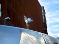 2023 Rolls-Royce Ghost Black Badge II (Series I), чёрный - вид 4