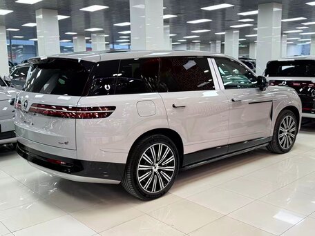 2025 Denza N9 46.9 kWh, серый, 8700000 рублей, вид 4