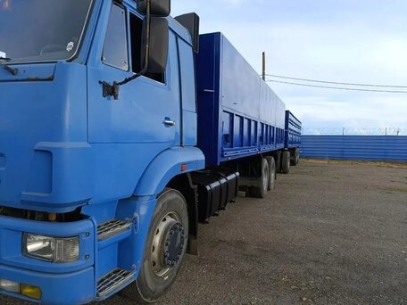 2009 КамАЗ 65117, синий, 2500000 рублей, вид 1