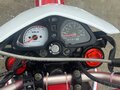 2023 Wels CRF 250, белый, 135000 рублей - вид 5