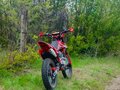 2024 Wels MX250R5, красный, 128000 рублей - вид 5