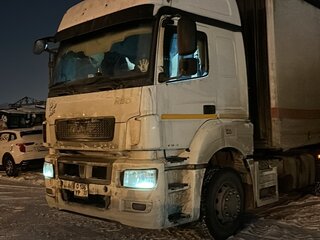 2017 КамАЗ 54902, белый, 1480000 рублей, вид 3