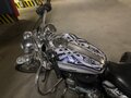2005 Harley-Davidson Sportster 1200, белый, 700000 рублей - вид 4
