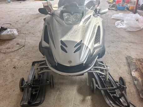 2006 Yamaha VK Professional, серый, 1250000 рублей, вид 1