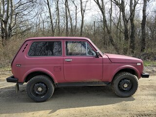 1993 Lada (ВАЗ) 2121 (4x4) I Рестайлинг, красный, 350000 рублей, вид 5