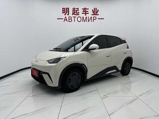 2025 BYD Seagull 30.08 kWh I, белый, 1450000 рублей, вид 1