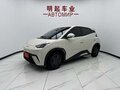 2025 BYD Seagull 30.08 kWh I, белый