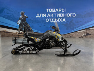 2026 Другие Снегоходы (другие), чёрный, 250300 рублей, вид 4