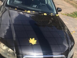 2007 Audi A4 III (B7), серебристый, 599000 рублей, вид 2