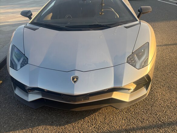 2020 Lamborghini Aventador I Рестайлинг, серый, 49500000 рублей - вид 2