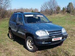 2008 Chevrolet Niva I, серый, 370000 рублей, вид 3