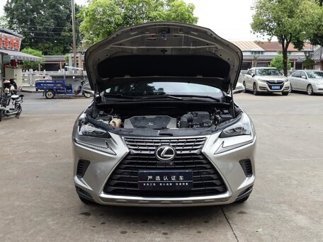 2021 Lexus NX 200 I Рестайлинг, серый, 2420000 рублей, вид 3