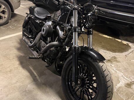 2018 Harley-Davidson Sportster 1200, серый, 1100000 рублей, вид 4
