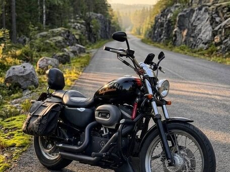 2009 Harley-Davidson Sportster 883, чёрный, 650000 рублей, вид 3