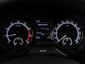 2019 Skoda Octavia III (A7) Рестайлинг, серый - вид 11