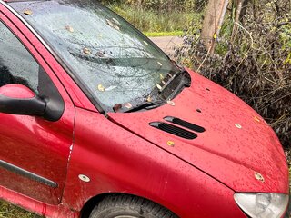 2004 Peugeot 206, красный, 110000 рублей, вид 1