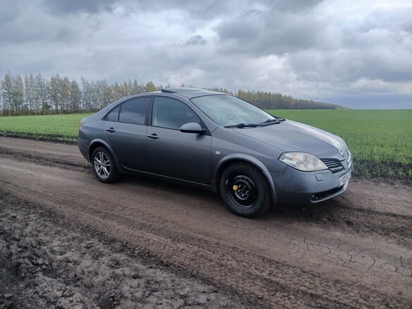 2003 Nissan Primera III (P12), серый - вид 1