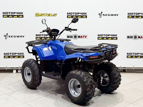 2026 Irbis ATV 200U, синий, 249000 рублей, вид 3