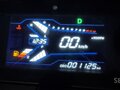 2025 Regal Raptor DD150E, серый, 310000 рублей