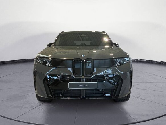 2026 BMW X5 40d V (G65), серый, 15902658 рублей - вид 16